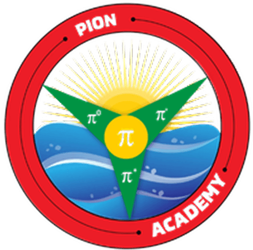 PION Academy logo