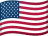 USA flag